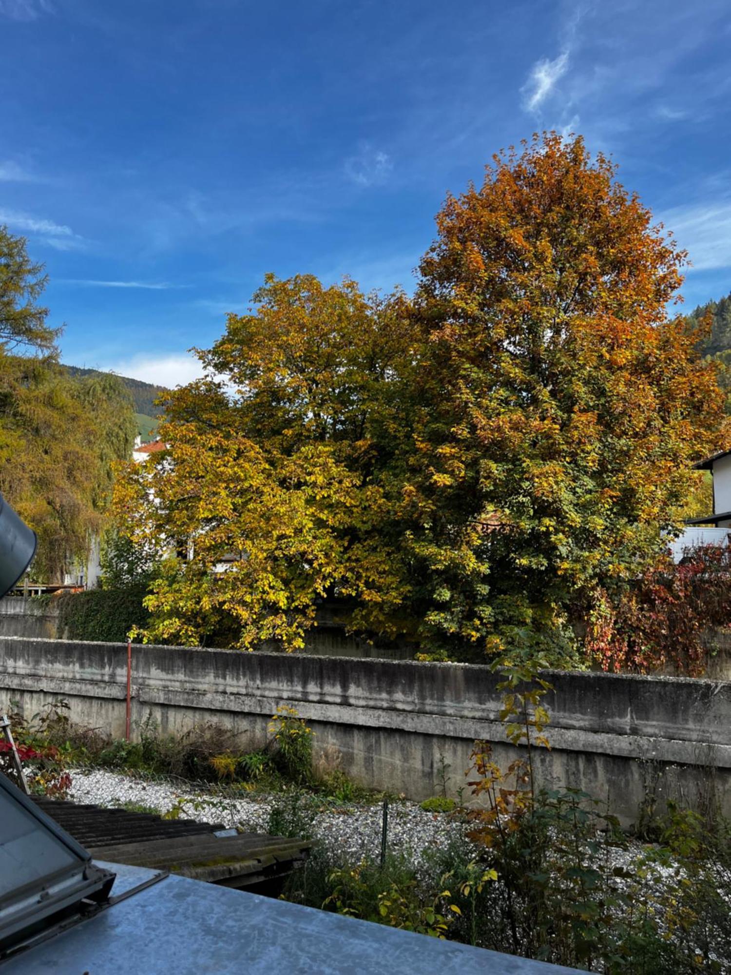 Готель Gasthof Sterzingerhof Екстер'єр фото